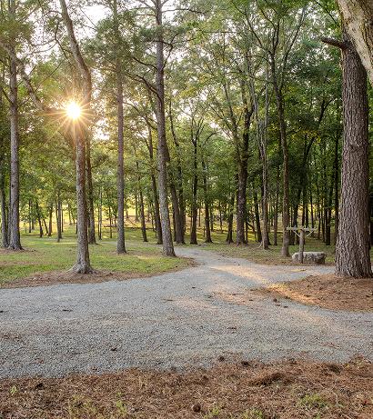 decatur_img